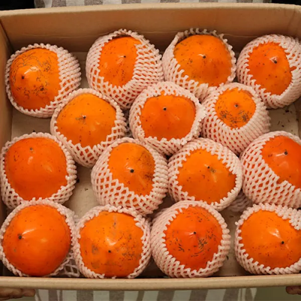 천리 대봉감 첫서리 고당도 늦가을선물 과육탱탱, 천리대봉감 10kg 41-49과