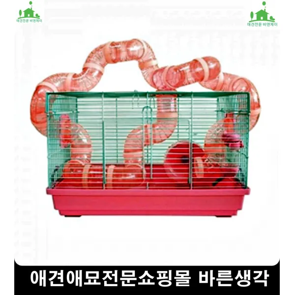 기력저하고양이활동력높여주는장난감 새끼고양이장난감 고양이놀아주기, 1개