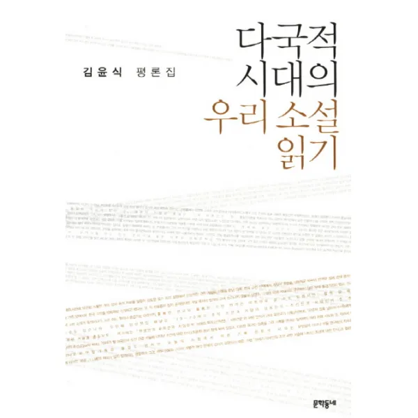 다국적 시대의 우리 소설 읽기:김윤식 평론집, 문학동네