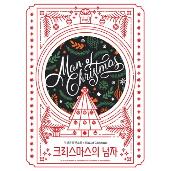 크리스마스의 남자:정경윤 장편소설, 가하