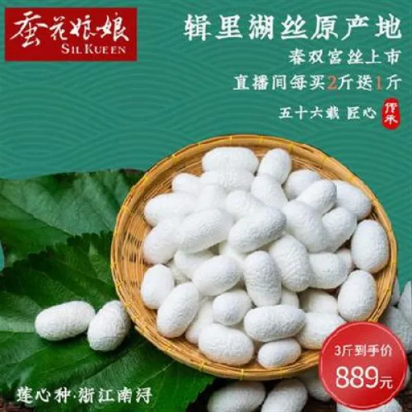 소산구 춘쌍궁상 2근 새로 사면 1근 4근 사면 2근 이중고치 우등품 뽕누에고치 80s 01 생중계로 2근 사면 1근 줘 총 뽕누에