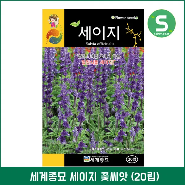S 세이지씨앗 50립 세이지 다년생식물 밀원식물 꽃씨
