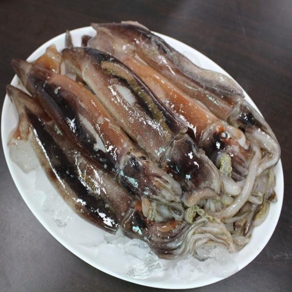 당일어획 포항 자연산 초코오징어 5미 10미, 1박스