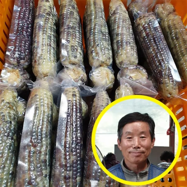 강원도 냉동 찐 흑 찰옥수수 20개 홍천 정선 미백 삶은 알룩이옥수수, 1.강원도 찐 냉동 [꼬마] 흑찰옥수수 20개