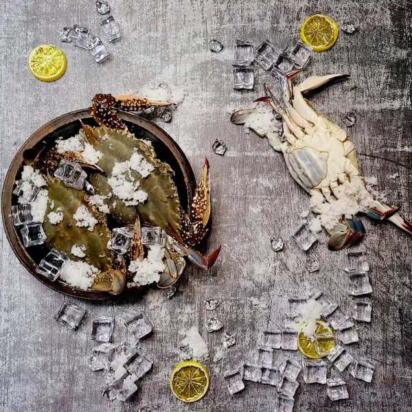 연평도 제철 냉동절단 꽃게 1kg 급냉 숫꽃게 암꽃게, 숫꽃게1kg
