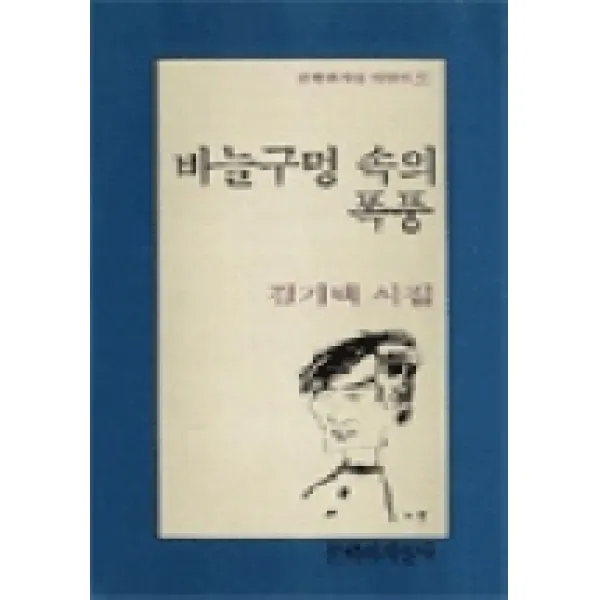 바늘구멍 속의 폭풍, 문학과지성사