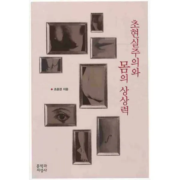 초현실주의와 몸의 상상력, 문학과지성사
