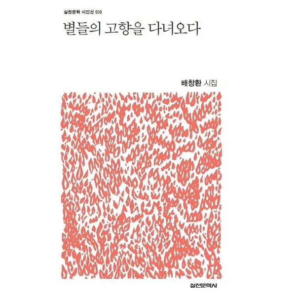 별들의 고향을 다녀오다, 실천문학사
