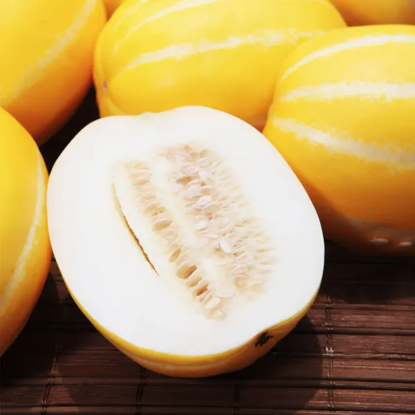 성주 못난이 꿀 참외 고당도 혼합과 5kg