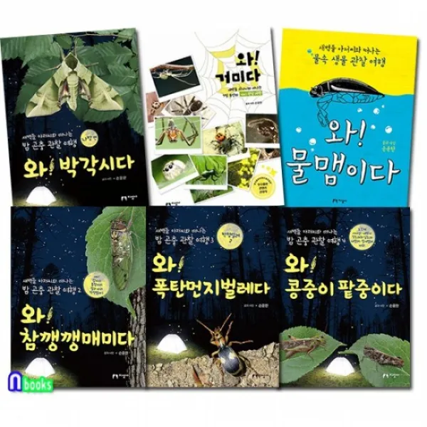 지성사/생태활동가 손윤한 곤충 관찰여행 세트전6권/거미.물맴이다.박각시다.참깽깽매미다.폭탄