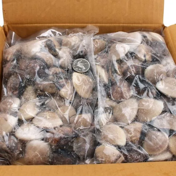 냉동 백합 5kg 1kg 5봉 /Jfe 71451 백합조개 냉동백합 샤브샤브 조갯살 생백합 단일상품 단일상품