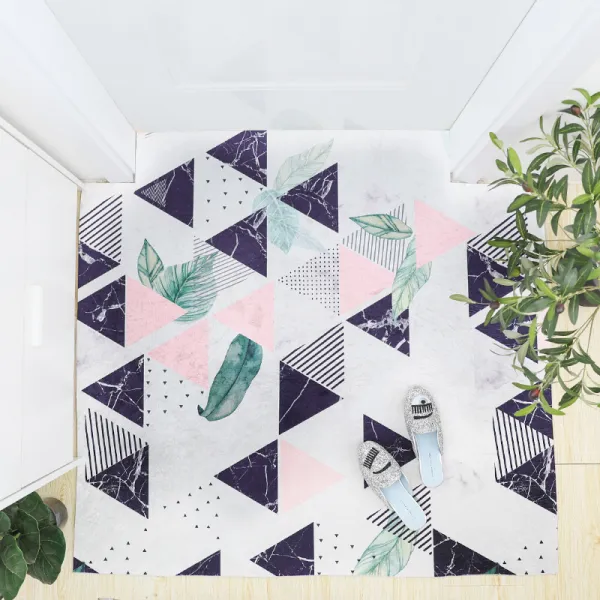 입구 바닥 매트 출입문 발걸이 문밖 입실 방수 가정용 방진 북유럽 카펫 현관 120160cm