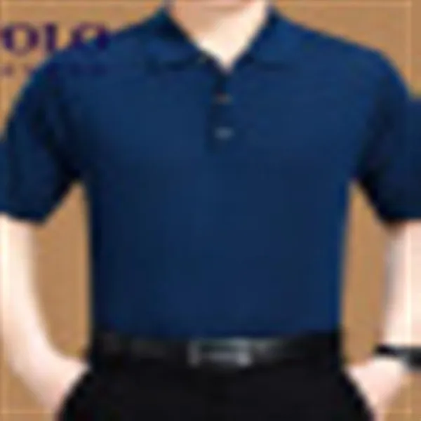 Master Polo 미국 폴 아이스티 남성 반팔 여름 실크 원사 얇은 중년 비즈니스 박시한 터틀넥 누에실 티셔츠 난색 3067% 17, 단일상품