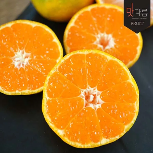 [맛다름] 제주 불로초 감귤 1.5kg내외 1박스, 1개