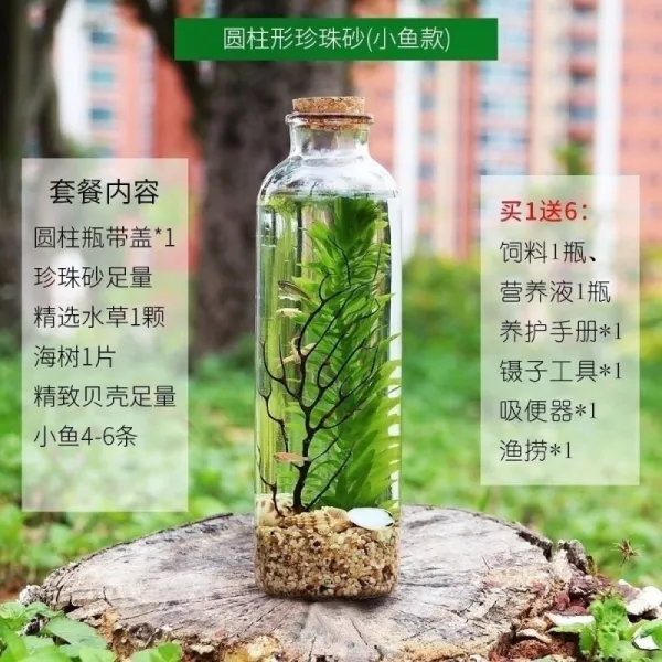 수조장식용품 관상어 미니 미시적 세계 소생 투명한 미경관 작은물고기 수서동물 실내