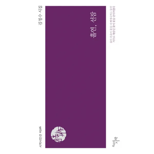 홀연 선잠:김정수 시집, 천년의시작