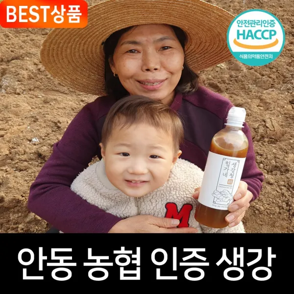 힘가네 생강청 생강차, 600g x 3병(15% 추가 할인)