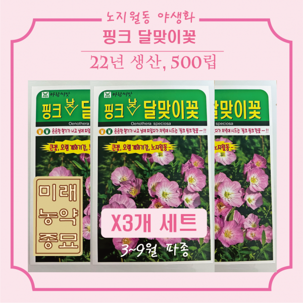 22년산 핑크달맞이꽃 씨앗 500립 (X3개세트) - 3~9월파종, 오랜 개화기간, 노지월동 가능, 낮에 피는 꽃