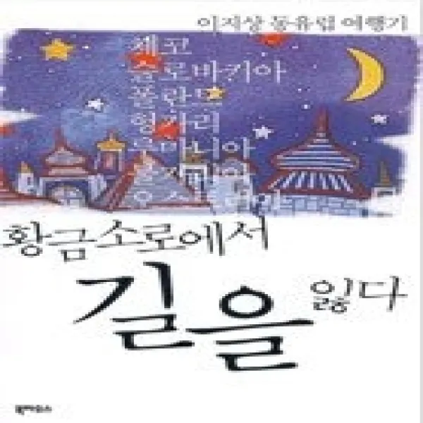 [개똥이네][중고-중] 황금소로에서 길을 잃다