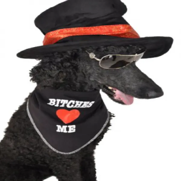 Ruff Ruff and Meow Doggie Bandana Bitches Love Me Black Small 멍청이 멍청이 야옹 두건 반다나 새끼들은 나를 사랑해 검은, 1