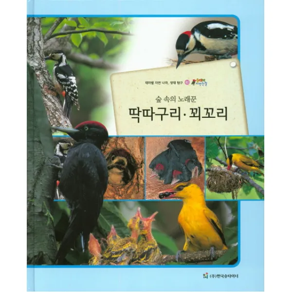 숲 속의 노래꾼 딱따구리 꾀꼬리:테마별 자연 나라 생태 탐구, 한국슈타이너