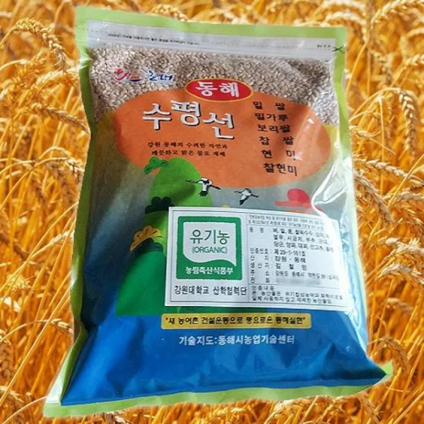 동해 심곡약천마을 유기농 통밀 [2kg], 개