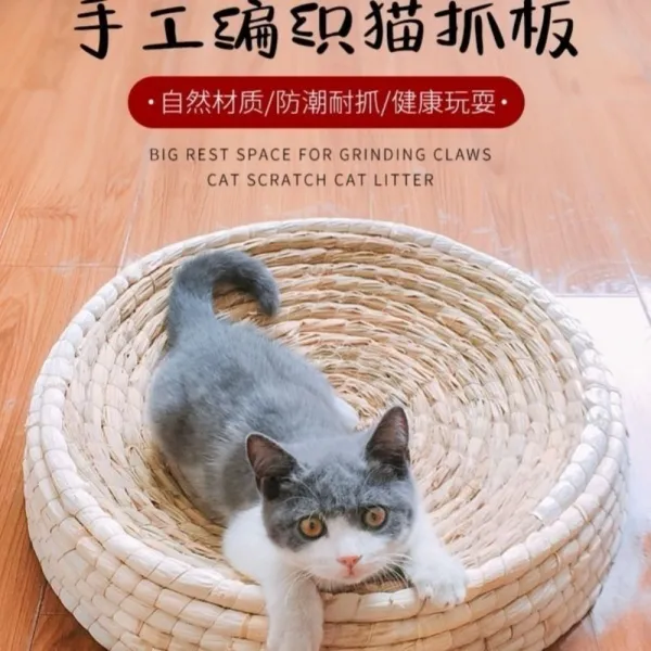 닭 알집 산란통 알자리 포란 산란장 둥지 암탉 볏짚 알둥지 둥우리, 55센티 캣츠