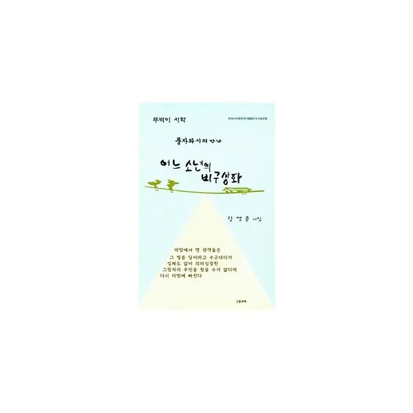 어느 소년의 비구상화 : 풍자와 시의 만남, 그림과책
