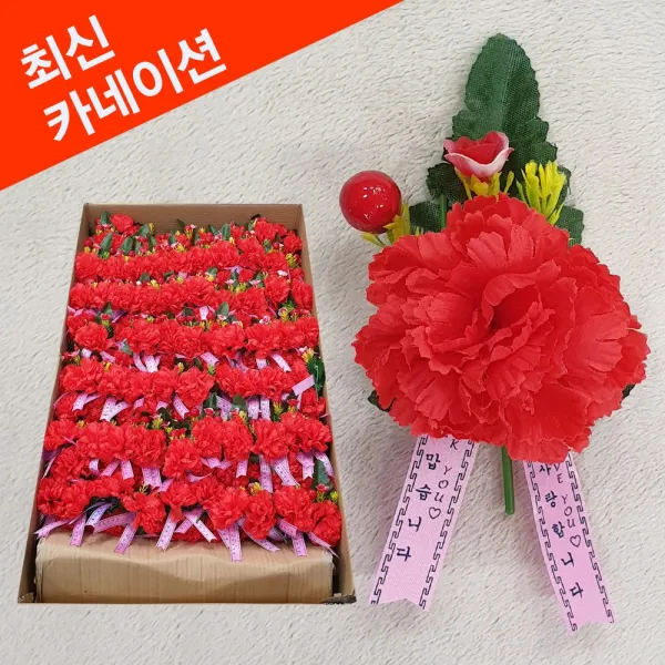 명성유통 제일_금년도_열매카네이션(고급형)