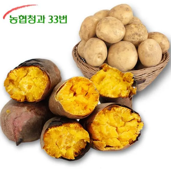농협 [농협청과33번] 호박고구마 3kg (특상) + 감자 중, 1