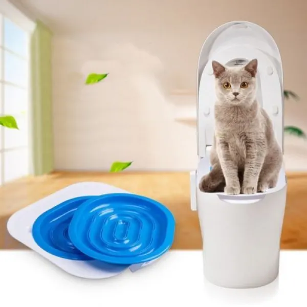 [해외] 플라스틱 Cat 화장실 Training Kit Seat 배설 용 Tray Professional 기계를 동물 음식을 Cat 배설 용 Mat Pet 청소 Cat Traini, 파란 M