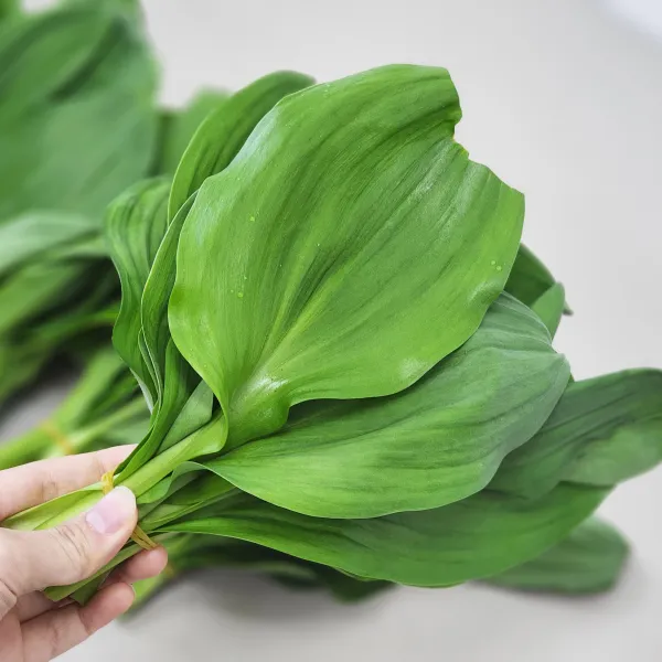 강원도 제철 생 명이나물 산마늘 눈개승마 곰취, 잎명이 1kg