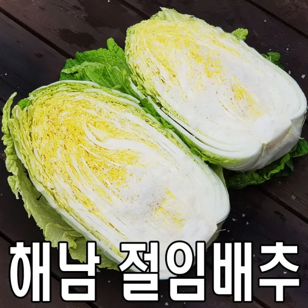 농민장터 땅끝 해풍맞은 해남 절임배추 20kg, 12월 24일 도착★
