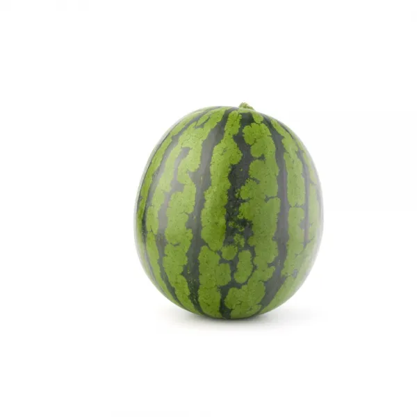 수박 5kg~8kg 5kg이상