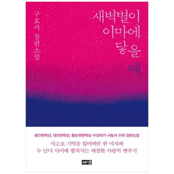 [해냄출판사] 새벽별이 이마에 닿을 때 구효서 장편소설