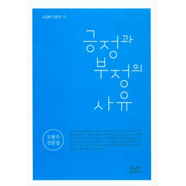 긍정과 부정의 사유:고현수 산문집, 소금북