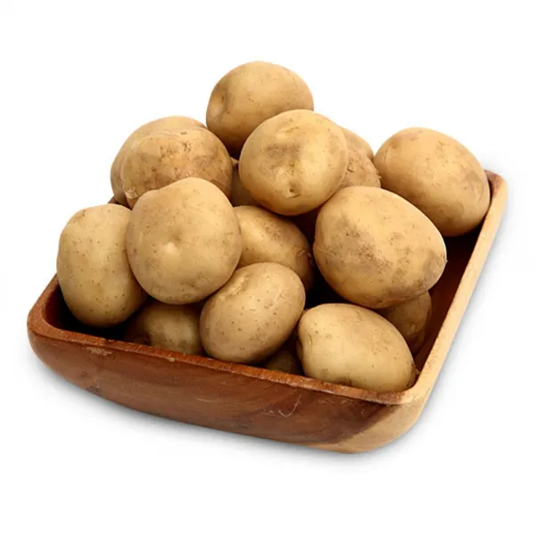햇살조은 수미 감자, 5kg(중), 1개