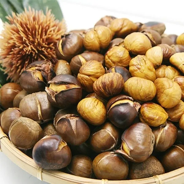밤톨이약단밤 [밤톨이약단밤] 영양간식 약단밤 1kg_선결재, 단일상품, 기타