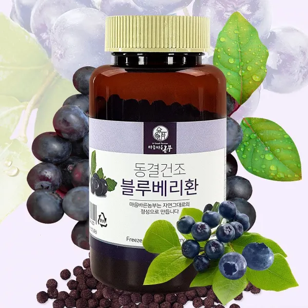 강원블루베리 블루베리 환 100g 동결 건조 가족 선물 파는곳 영양제 식품 농축산물 건강식품 환 블루베리 블 1 본상품선택 본상품선택