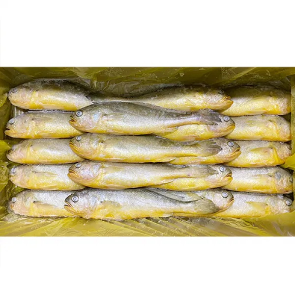 부산이오 냉동 부세 조기 제수용 제사용 구이용 3.4kg 박스 도매