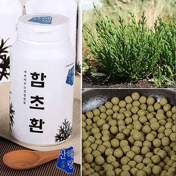 함초환 300g 상쾌하고 건강한 내 몸 챙기는 법 청정한 자연의 신선함 하루세번 식전 건강 식품 혈 당 위장 M/B343578 + mm, 본상품선택, 본상품선택