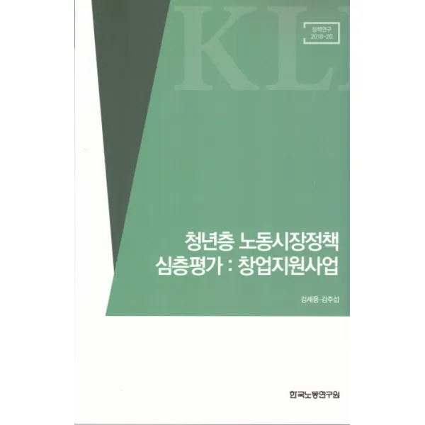 청년층 노동시장정책 심층평가: 창업지원사업:정책연구 2018-20), 한국노동연구원