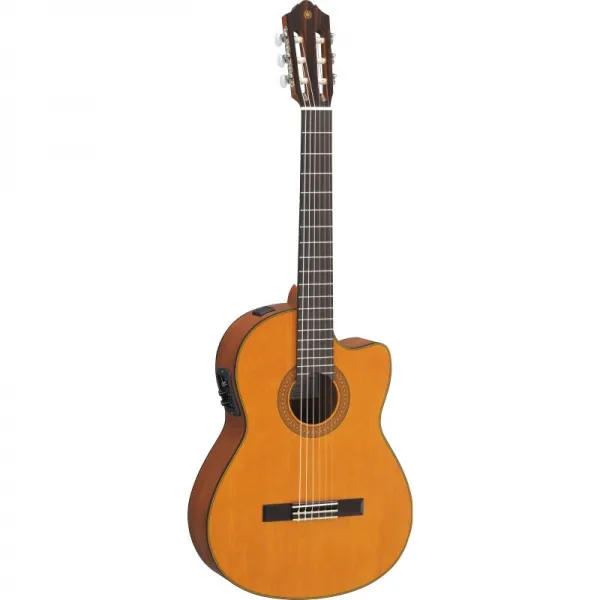 Yamaha / 아마 하 Cgv 122 / Cg142 / Cg192 단판 고전 기타 전나무 패 널 시험 등급 승급 Jita 39 촌 Cgx22mcc 설 송 전자 함