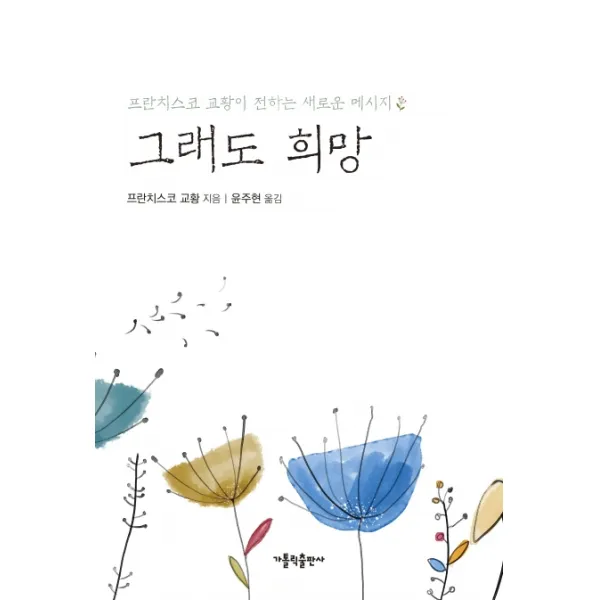 그래도 희망:프란치스코 교황이 전하는 새로운 메시지 가톨릭출판사