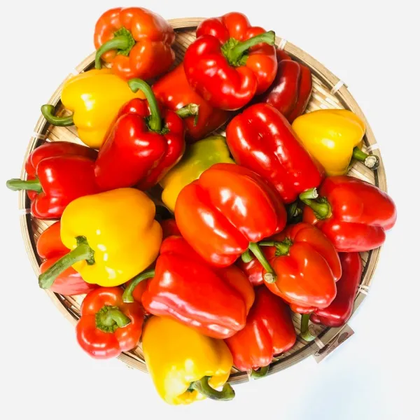 어글리베지 못난이 파프리카 혼합 2kg 3kg 5kg, 1box