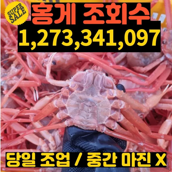 태권수산 3키로 10미 [고급형] 연지홍게 제철홍게 구룡포홍게 붉은대게 홍개 대게, 3키로 10미 고급형 찜비무료