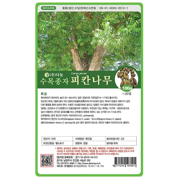 자귀나무씨앗 20g - 씨 씨앗 합환수 합혼수 야합수 유정수 소쌀나무 조경수 정원수 수목종자 나무씨앗 나무씨 수목씨앗 수목씨 나무, 26_다농_피칸나무(100g)