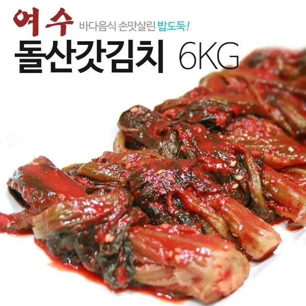 푸드품격 전라도갓김치 밥도둑 여수갓 여수돌산갓김치, 1box, 6kg