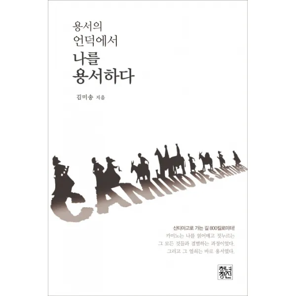 용서의 언덕에서 나를 용서하다:산티아고로 가는 길 800킬로미터, 청년정신