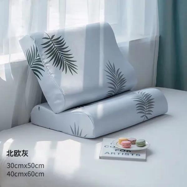 보슬비 보풀 베개 60x40 학생 산호 융 여 커플 기억 베갯속, 30cmX50cm